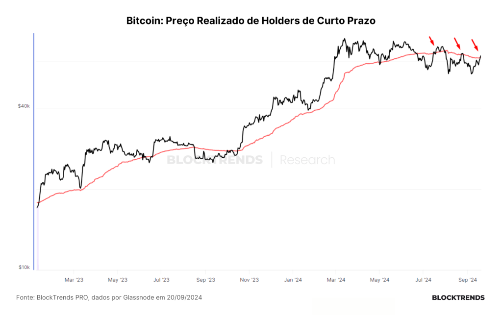 Carteira Satoshi: Atualização #20