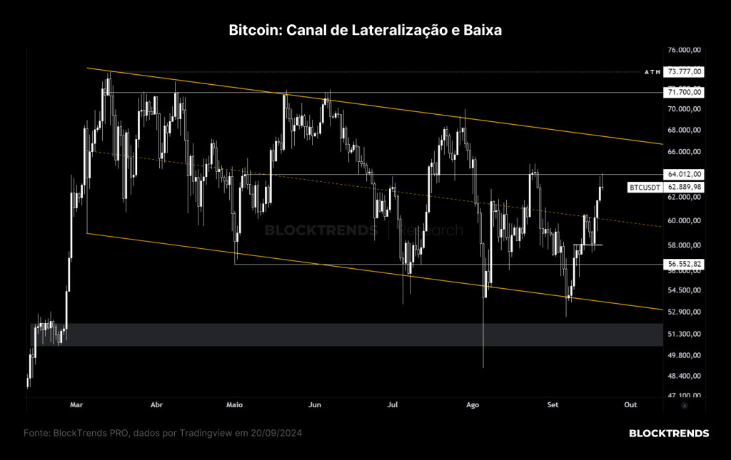 Carteira Satoshi: Atualização #20