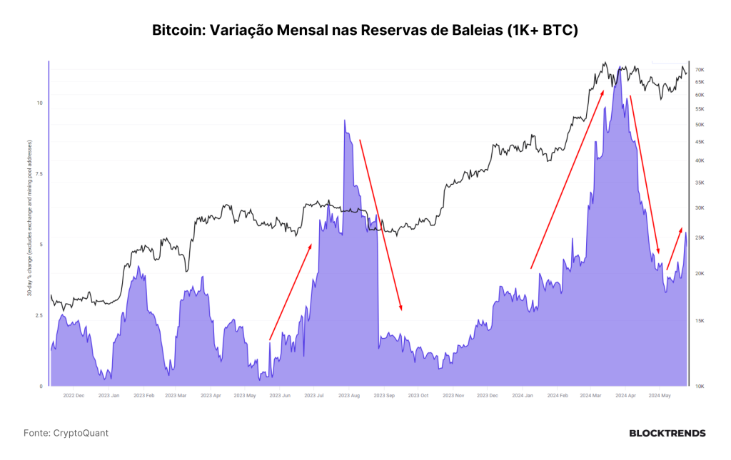 Adotando Bitcoin como estratégia de tesouraria