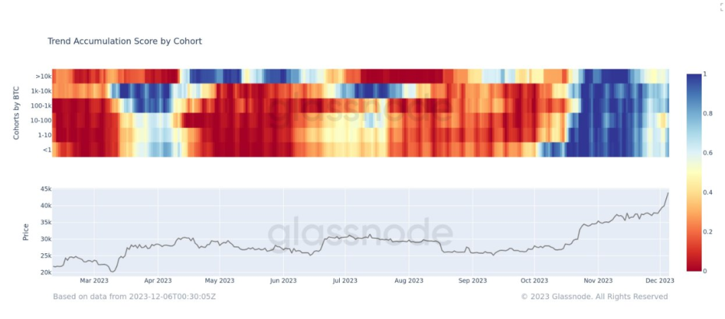 A liquidez retorna ao Bitcoin e baleias impulsionam alta de preços