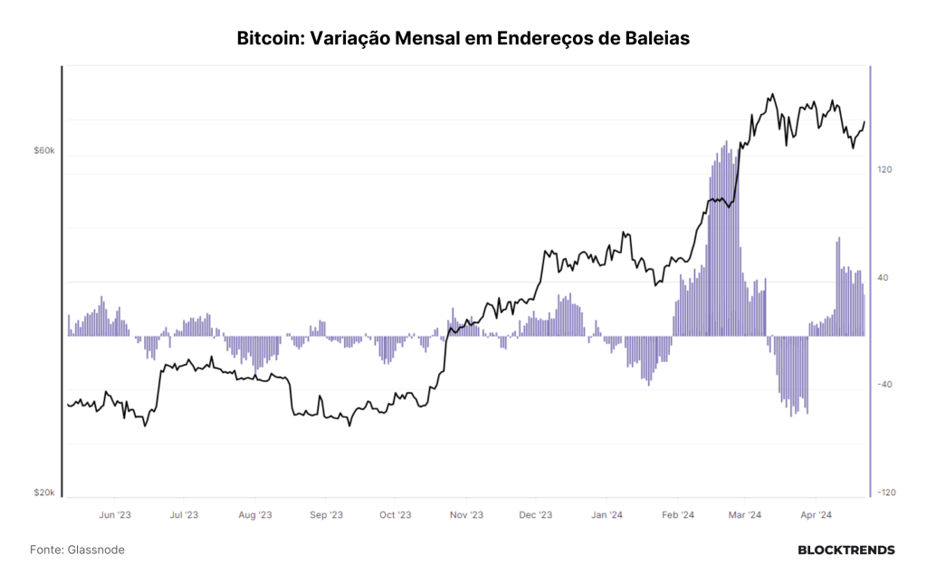 Começa a 5ª época da rede Bitcoin