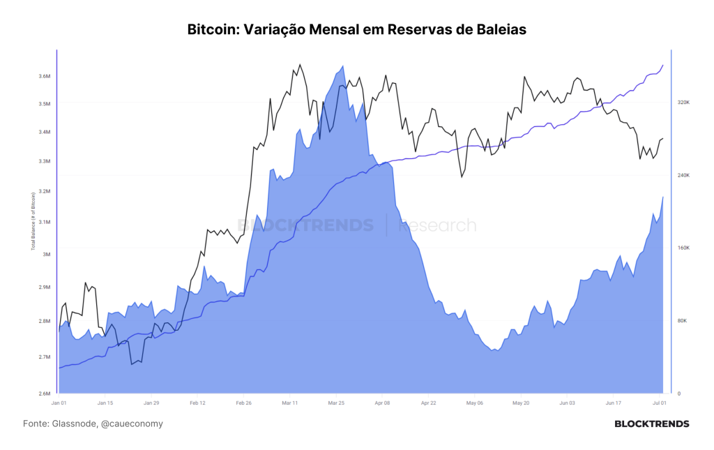 Baleias distribuem Bitcoin, mas atividade on-chain retorna